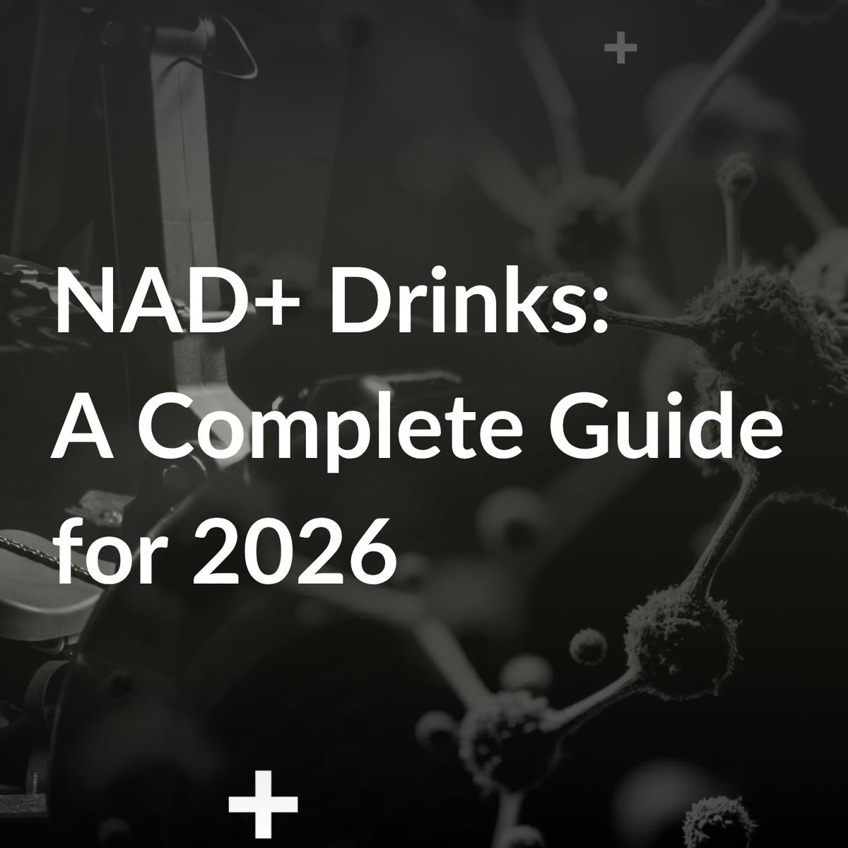 What is an NAD+ drink? A complete guide to NAD+ drinks – NEU+