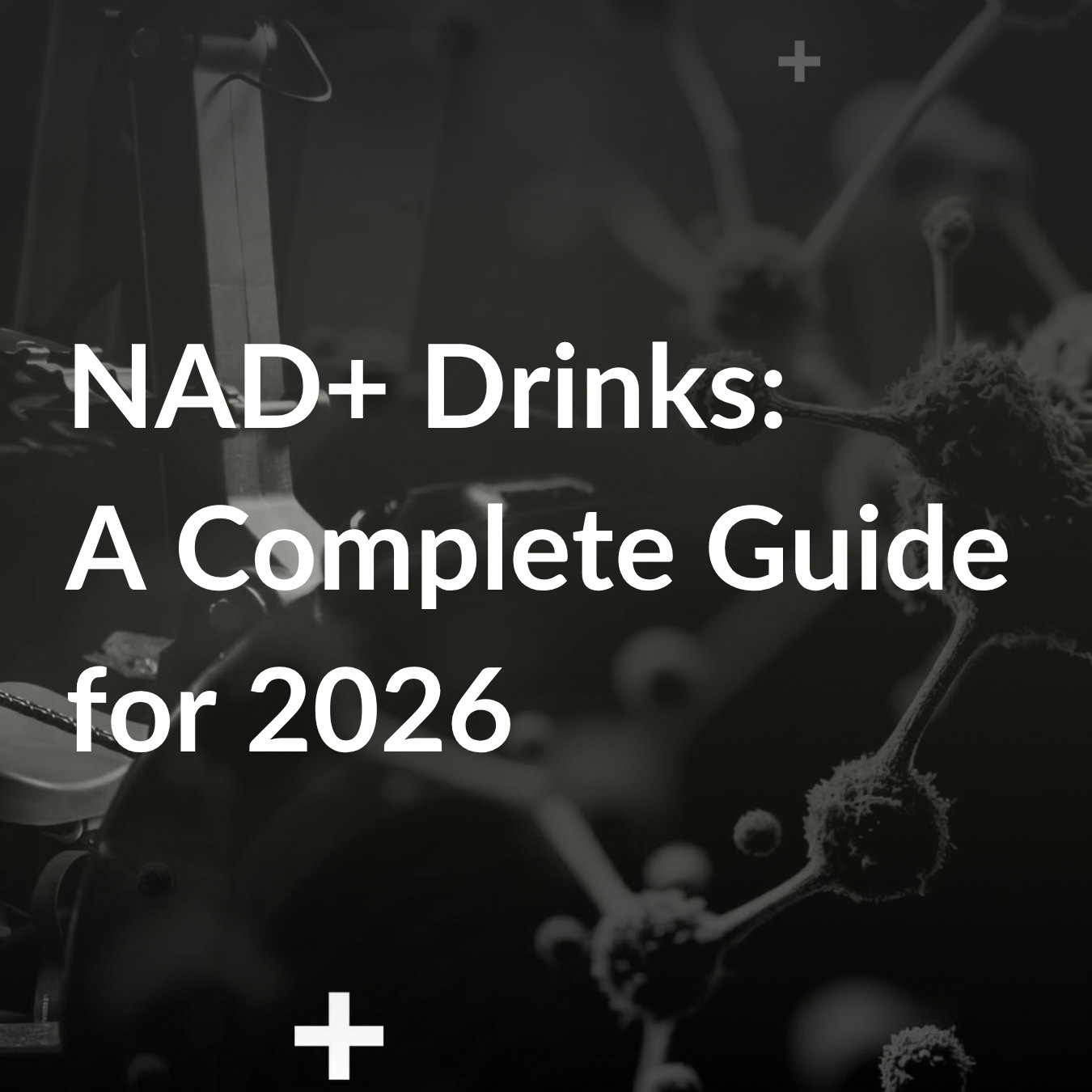 What is an NAD+ drink? A complete guide to NAD+ drinks